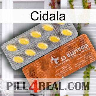 Cidala 42